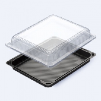 Контейнер F-2218-1 "Универсал" 100/100 Фоп z51