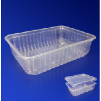 Контейнер пластиковый 750мл PP прозрачный с крышкой 18х13х5см ИРМ 50/500