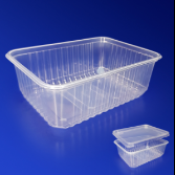 Контейнер пластиковый 1000мл PP прозрачный с крышкой 18х13х6,5см ИРМ 50/500