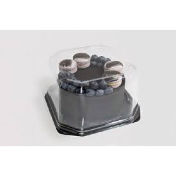 Контейнер одноразовый пластиковый упаковочный УК-259ВГ, прозр, Дно (10020205) 35/70 Каш z42